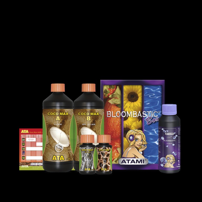 B Cuzz Coco ATA Box B Cuzz Coco ATA Box