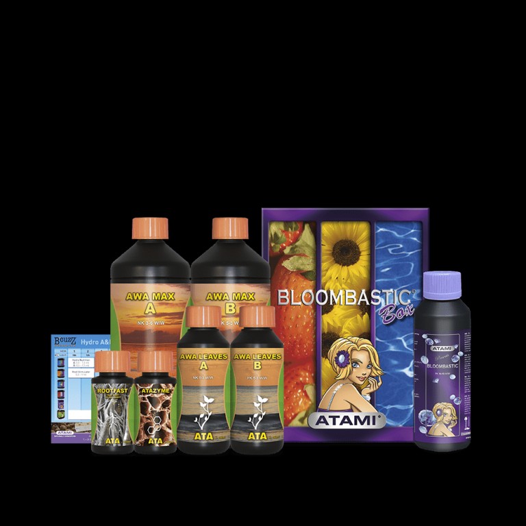 B Cuzz ATA Awa Bloombastic Box B Cuzz ATA Awa Bloombastic Box