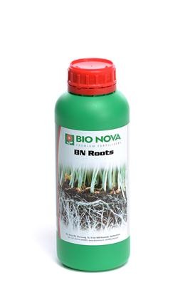 Bn Roots 1L Bn Roots 1L