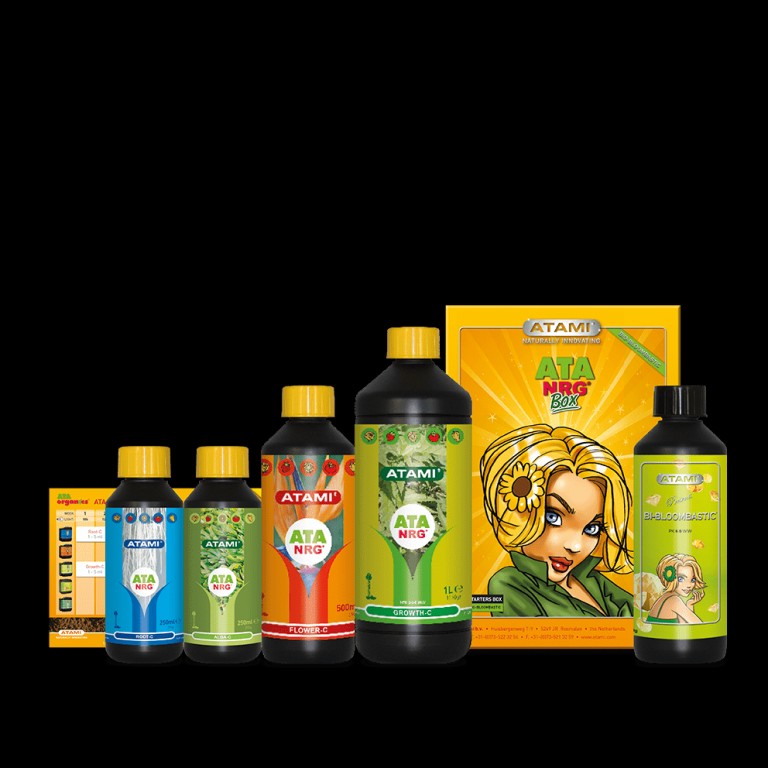 Box ATA NRG Bi-Bloombastic Box ATA NRG Bi-Bloombastic